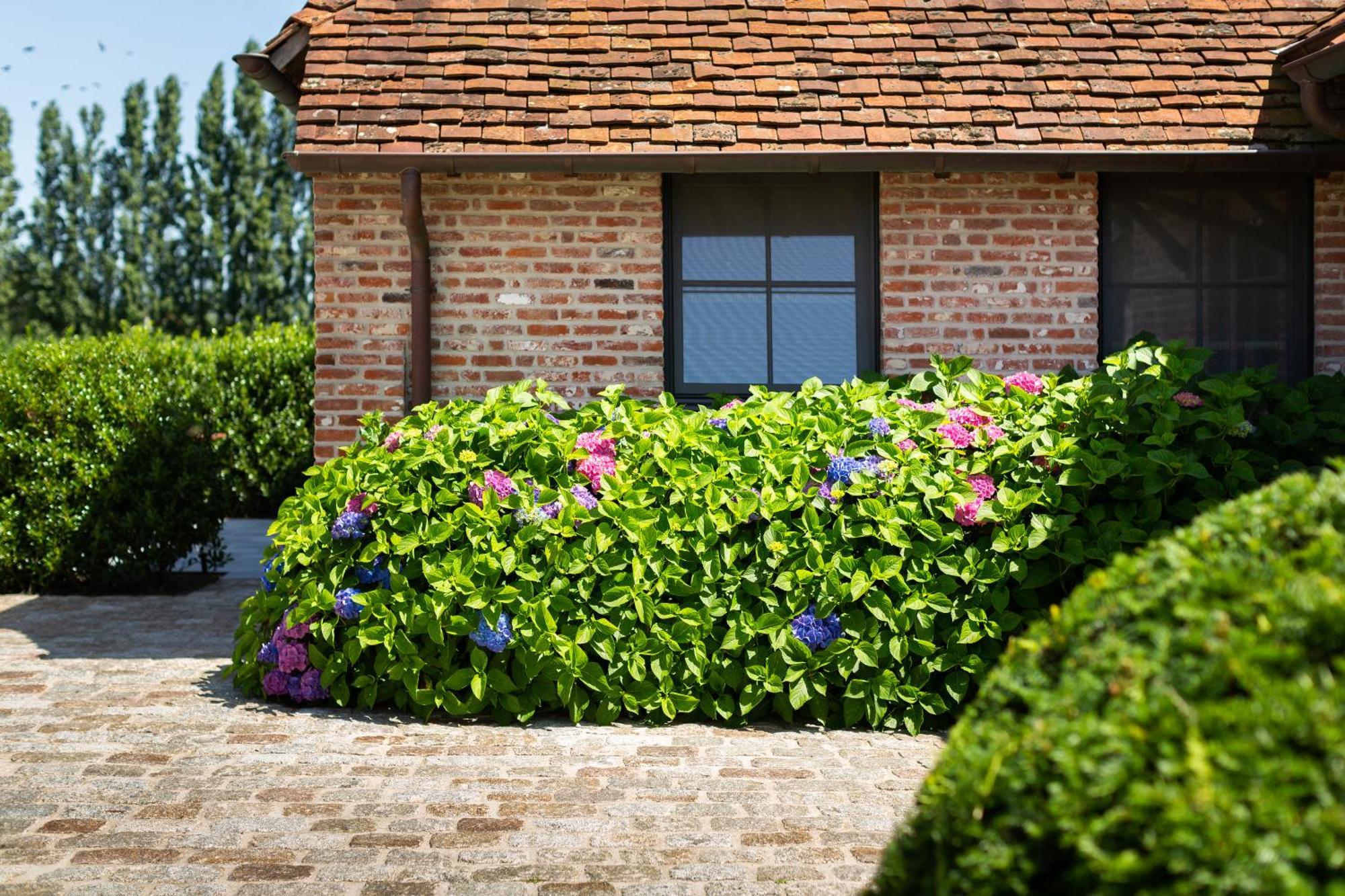 Hoeve Den Akker: Luxe Vakantiewoningen met Alpaca's nabij Brugge Damme Exterior photo