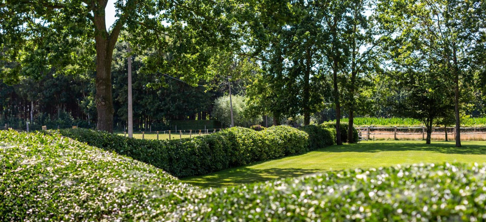 Hoeve Den Akker: Luxe Vakantiewoningen met Alpaca's nabij Brugge Damme Exterior photo